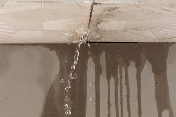 Professional Water Damage Repair technician working in Green Springs, OH